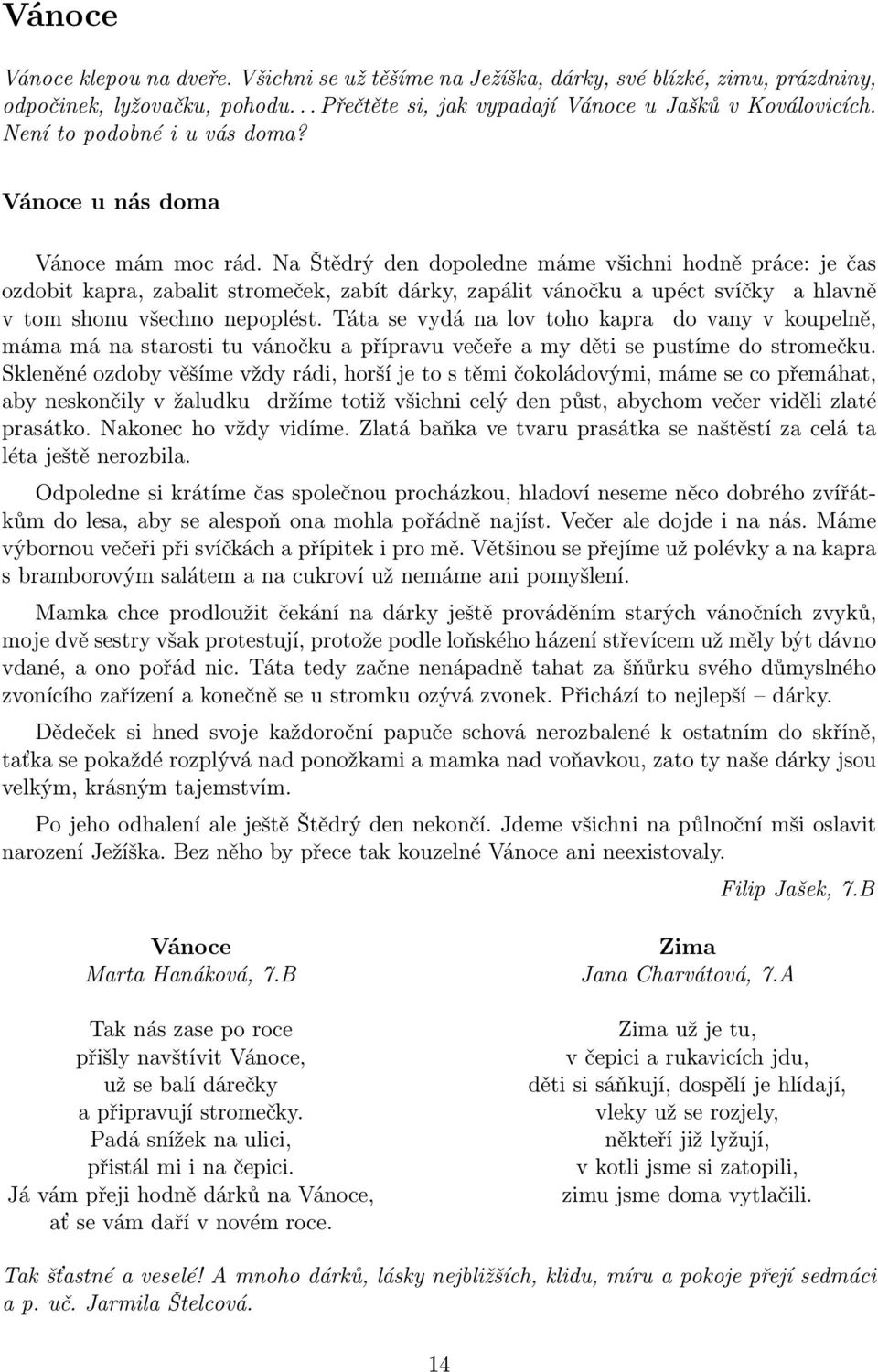 Na Štědrý den dopoledne máme všichni hodně práce: je čas ozdobit kapra, zabalit stromeček, zabít dárky, zapálit vánočku a upéct svíčky a hlavně v tom shonu všechno nepoplést.