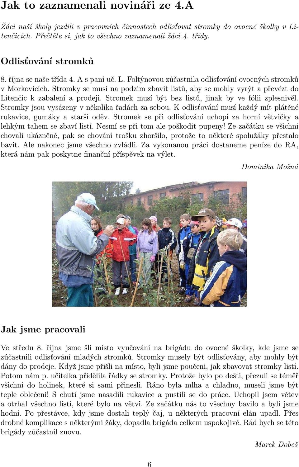 Stromky se musí na podzim zbavit listů, aby se mohly vyrýt a převézt do Litenčic k zabalení a prodeji. Stromek musí být bez listů, jinak by ve fólii zplesnivěl.