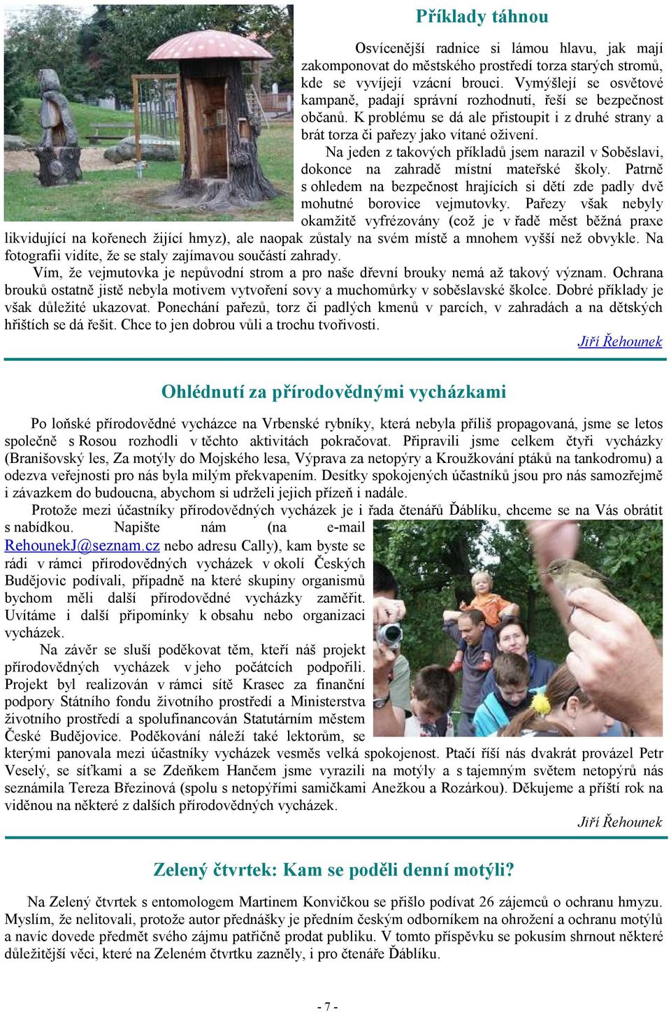 Na jeden z takových příkladů jsem narazil v Soběslavi, dokonce na zahradě místní mateřské školy. Patrně s ohledem na bezpečnost hrajících si dětí zde padly dvě mohutné borovice vejmutovky.
