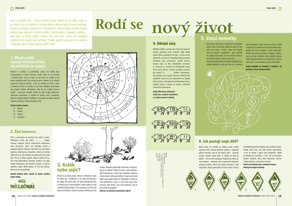 Lidé je milují, zvláště, pokud působí jako roztomilí a hebcí plyšáci. Malá koťata, housata, kuřátka... jste jistě už někdy drželi v rukou.