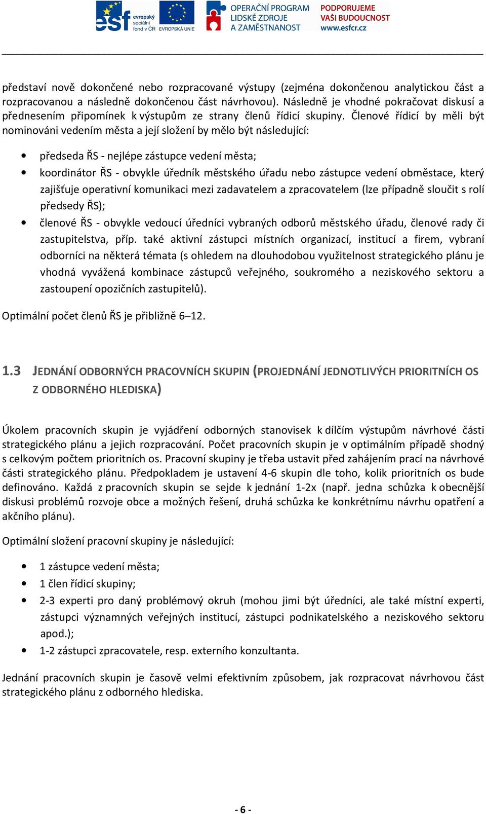 Členové řídicí by měli být nominováni vedením města a její složení by mělo být následující: předseda ŘS - nejlépe zástupce vedení města; koordinátor ŘS - obvykle úředník městského úřadu nebo zástupce