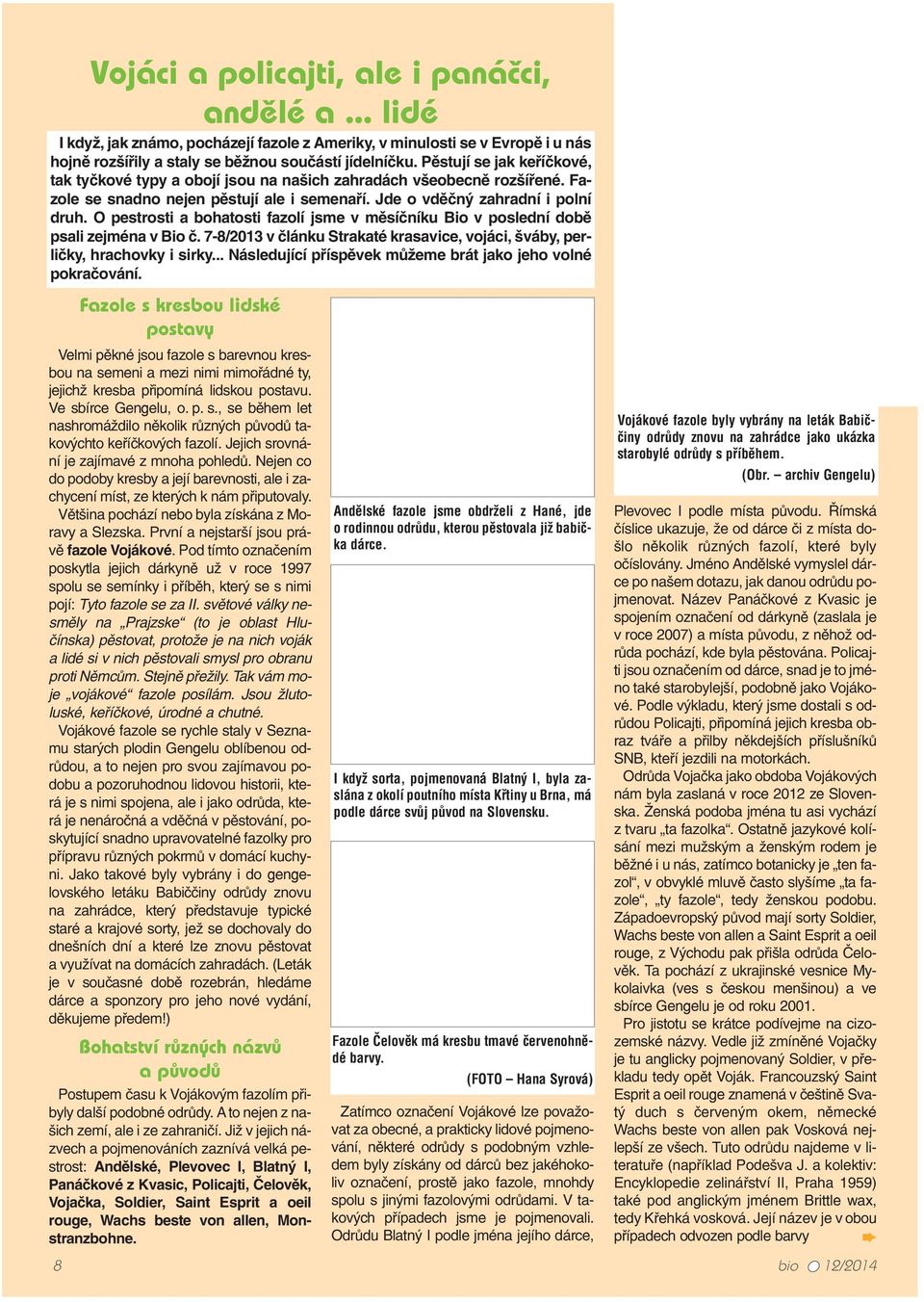 O pestrosti a bohatosti fazolí jsme v měsíčníku Bio v poslední době psali zejména v Bio č. 7-8/2013 v článku Strakaté krasavice, vojáci, šváby, perličky, hrachovky i sirky.