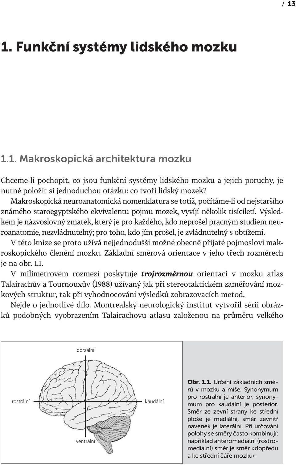 Výsledkem je názvoslovný zmatek, který je pro každého, kdo neprošel pracným studiem neuroanatomie, nezvládnutelný; pro toho, kdo jím prošel, je zvládnutelný s obtížemi.