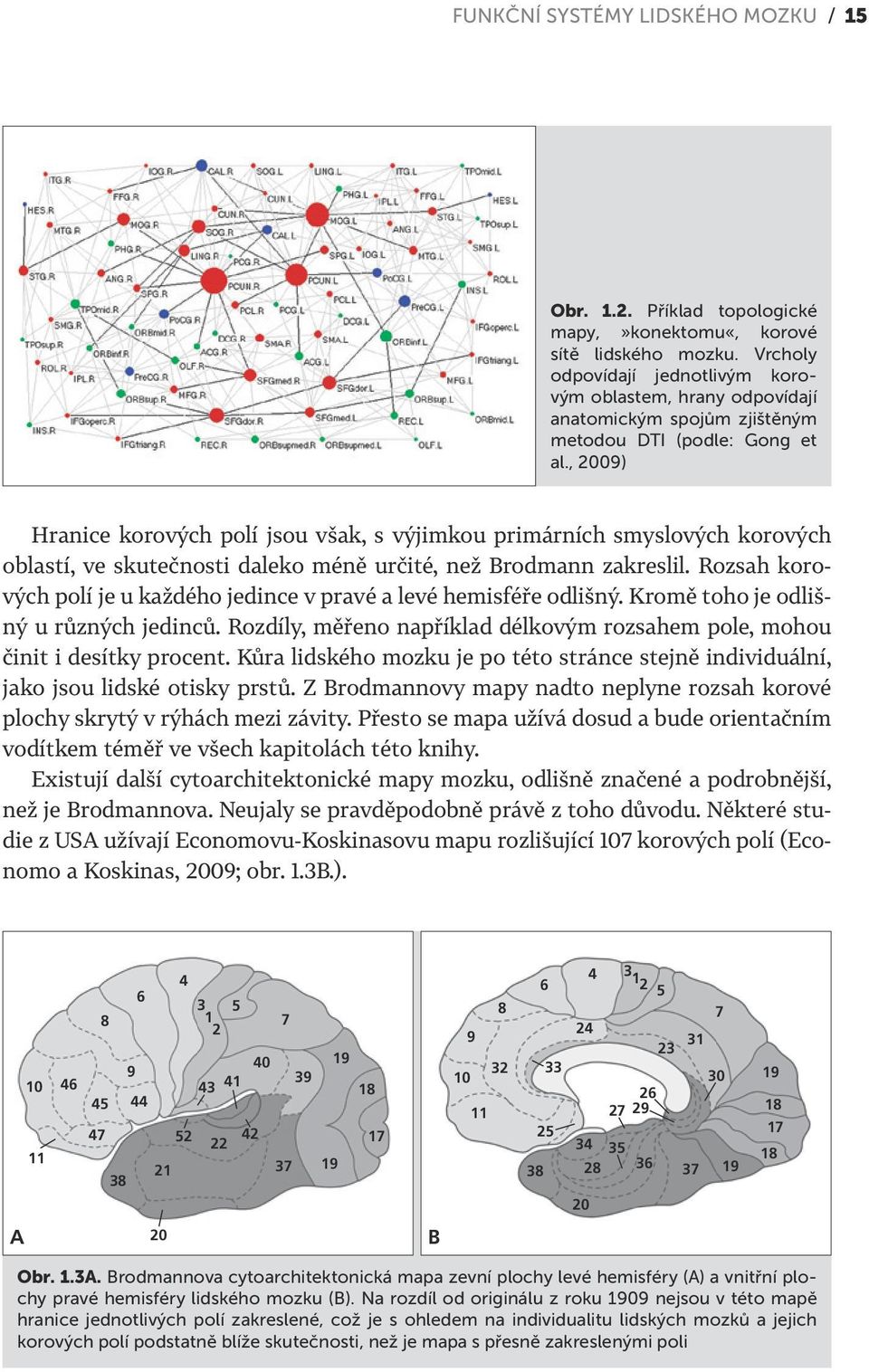 , 2009) Hranice korových polí jsou však, s výjimkou primárních smyslových korových oblastí, ve skutečnosti daleko méně určité, než Brodmann zakreslil.