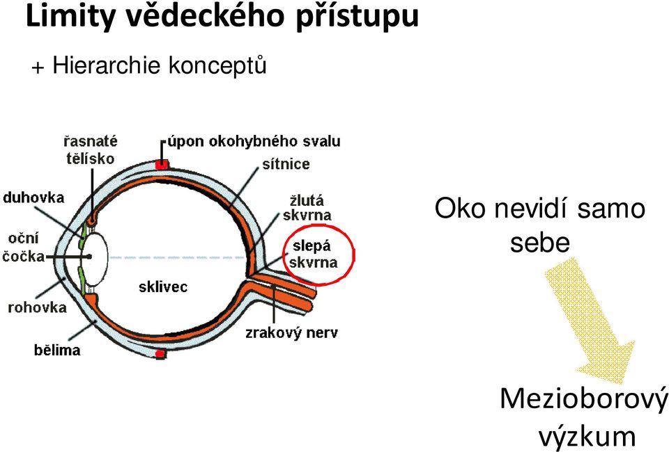 konceptů Oko nevidí