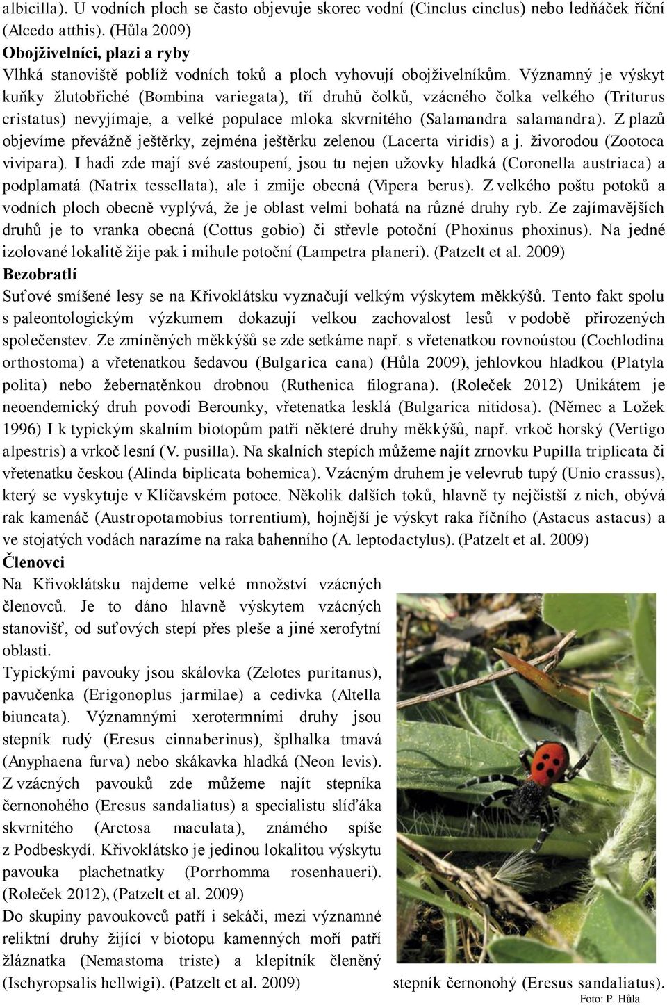 Významný je výskyt kuňky žlutobřiché (Bombina variegata), tří druhů čolků, vzácného čolka velkého (Triturus cristatus) nevyjímaje, a velké populace mloka skvrnitého (Salamandra salamandra).