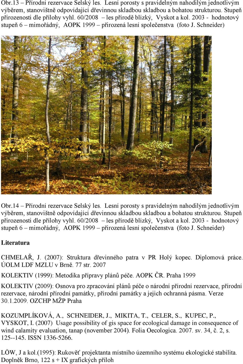 14 Přírodní rezervace Selský les. Lesní porosty s pravidelným nahodilým jednotlivým výběrem, stanovištně odpovídající dřevinnou skladbou skladbou a bohatou strukturou.