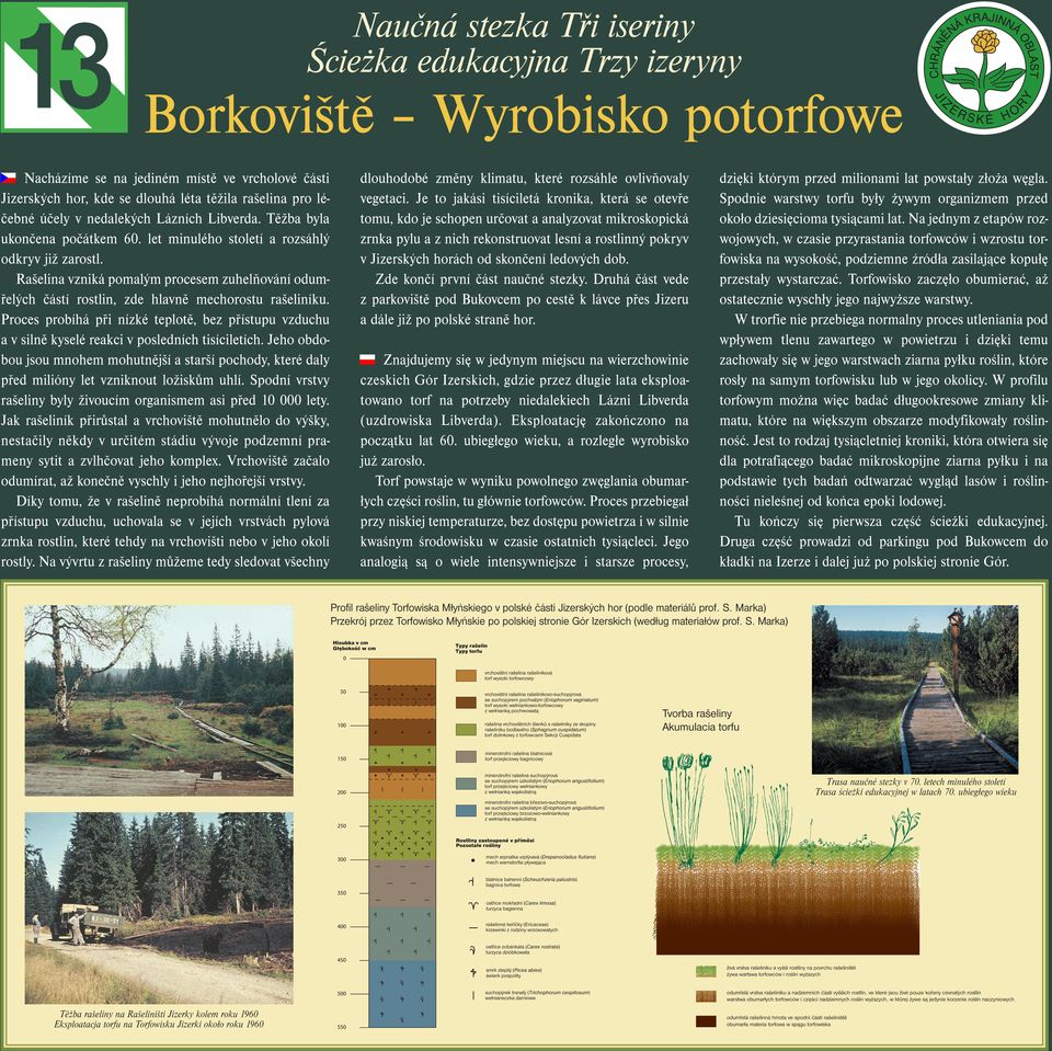 Proces probíhá při nízké teplotě, bez přístupu vzduchu a v silně kyselé reakci v posledních tisíciletích.