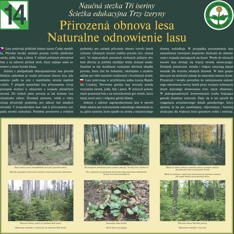 Jedním z předpokladů obhospodařování lesa přírodě blízkým způsobem je využití přirozené obnovy lesa, kdy semeno padlé na zem z mateřského stromu úspěšně vyklíčí.