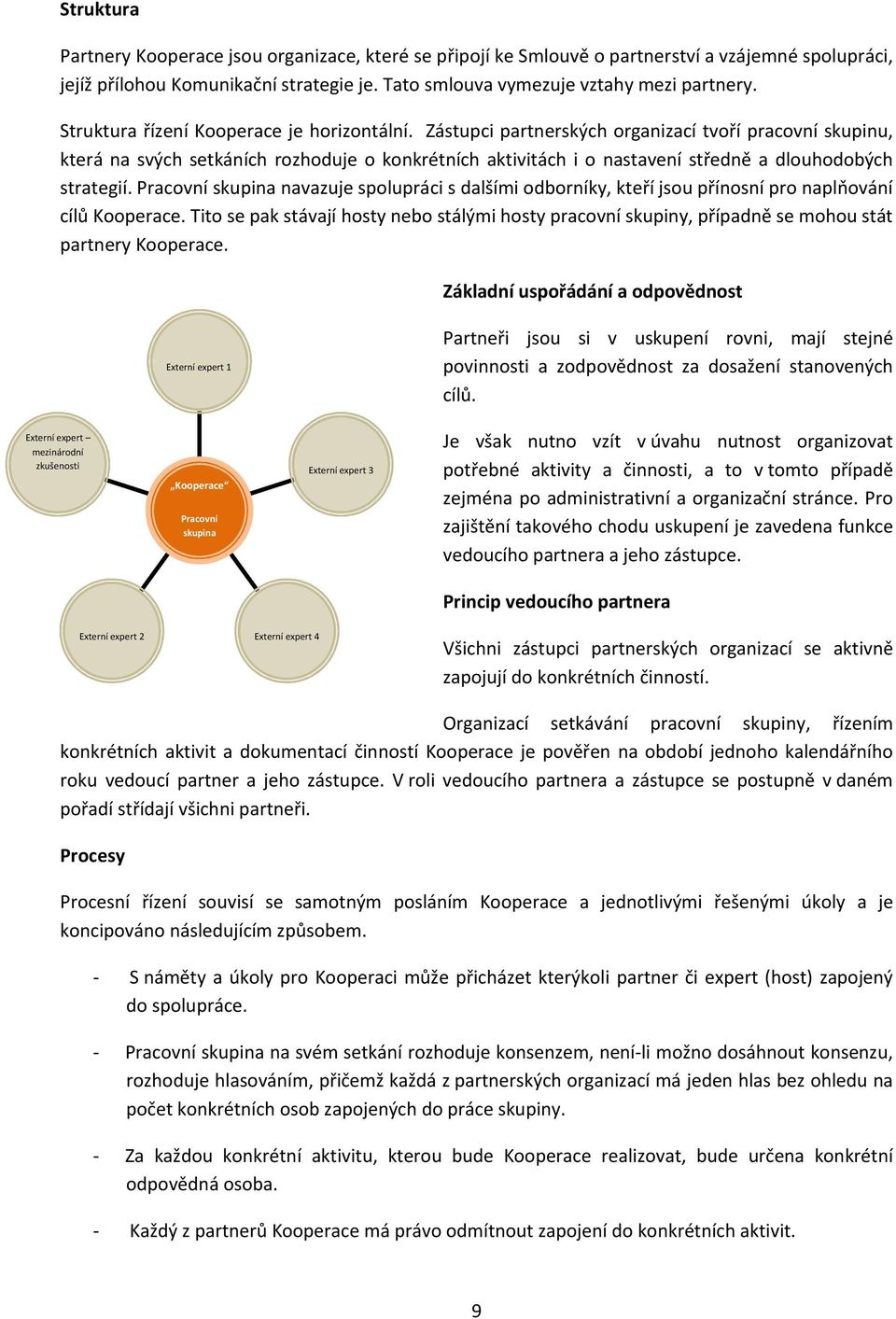 Zástupci partnerských organizací tvoří pracovní skupinu, která na svých setkáních rozhoduje o konkrétních aktivitách i o nastavení středně a dlouhodobých strategií.