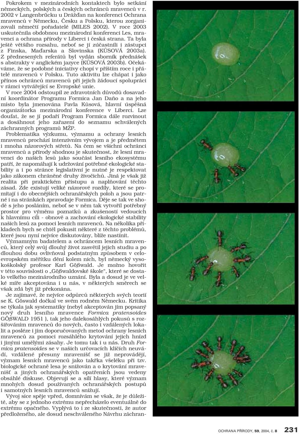 V roce 2003 uskuteãnila obdobnou mezinárodní konferenci Les, mravenci a ochrana pfiírody v Liberci i ãeská strana.