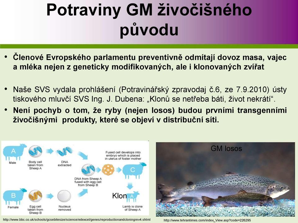 Dubena: Klonů se netřeba báti, život nekrátí.