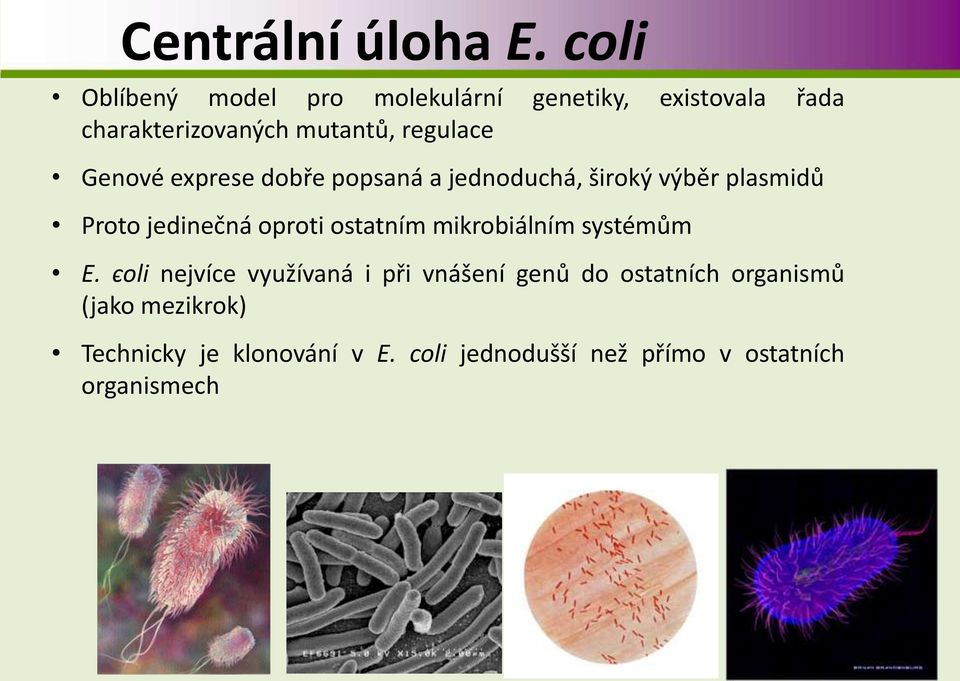 Genové exprese dobře popsaná a jednoduchá, široký výběr plasmidů Proto jedinečná oproti ostatním