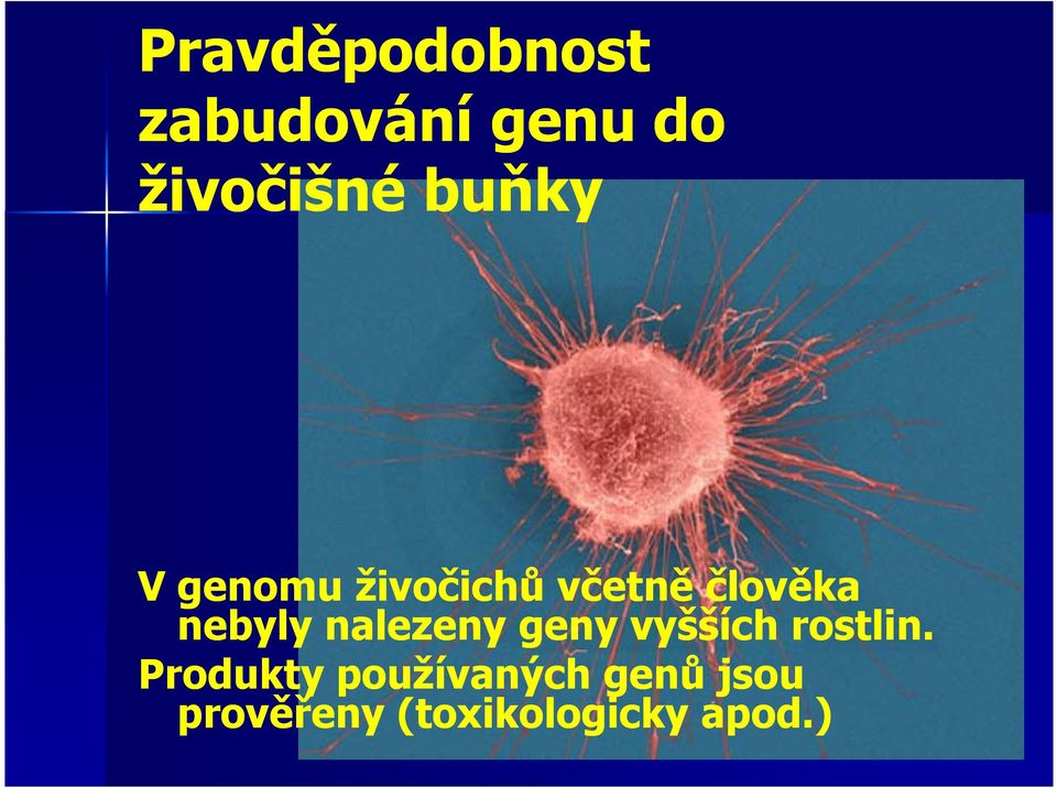 nalezeny geny vyšších rostlin.