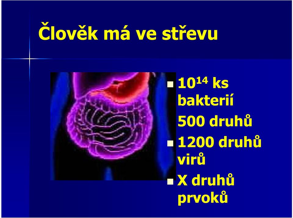 500 druhů 1200