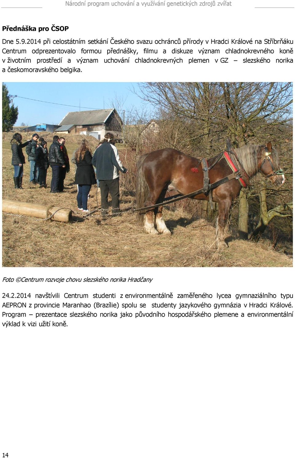 chladnokrevného koně v životním prostředí a význam uchování chladnokrevných plemen v GZ slezského norika a českomoravského belgika.