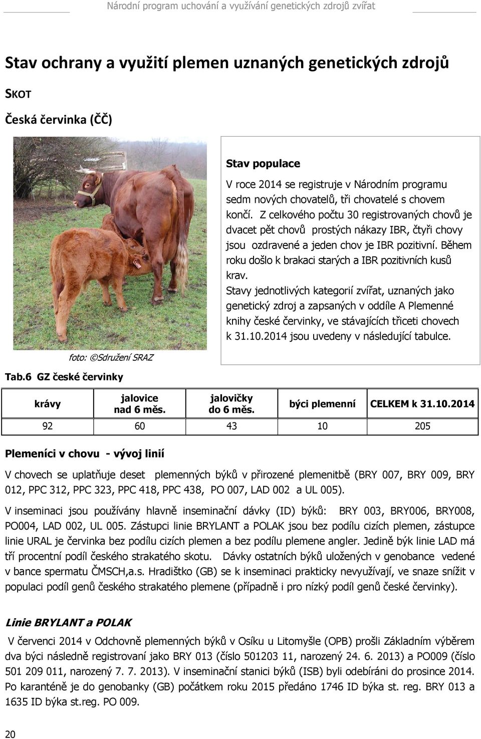 Z celkového počtu 30 registrovaných chovů je dvacet pět chovů prostých nákazy IBR, čtyři chovy jsou ozdravené a jeden chov je IBR pozitivní.