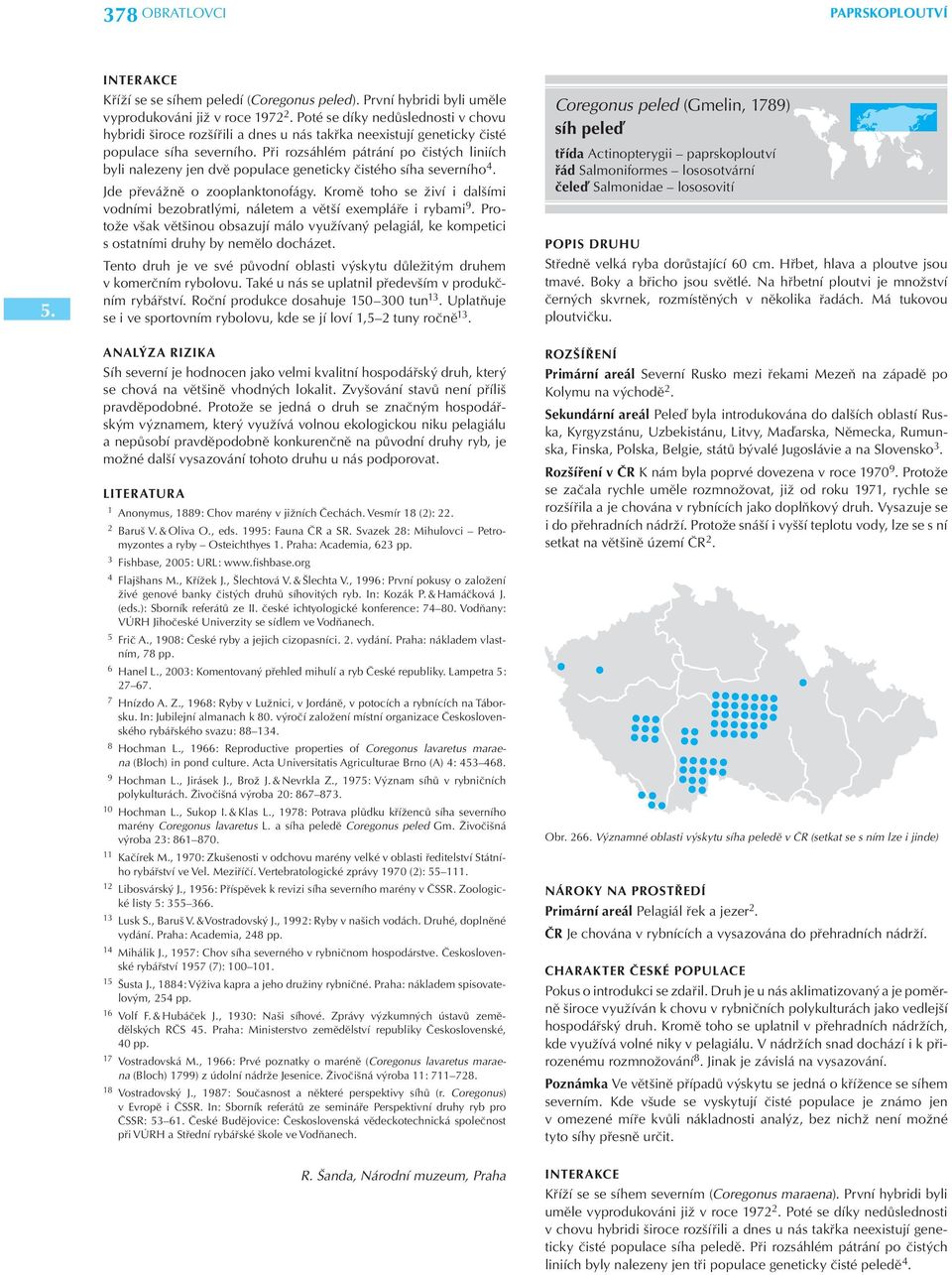 Při rozsáhlém pátrání po čistých liniích byli nalezeny jen dvě populace geneticky čistého síha severního 4. Jde převážně o zooplanktonofágy.