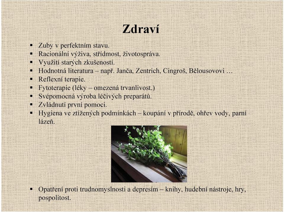 Fytoterapie (léky omezená trvanlivost.) Svépomocná výroba léčivých preparátů. Zvládnutí první pomoci.