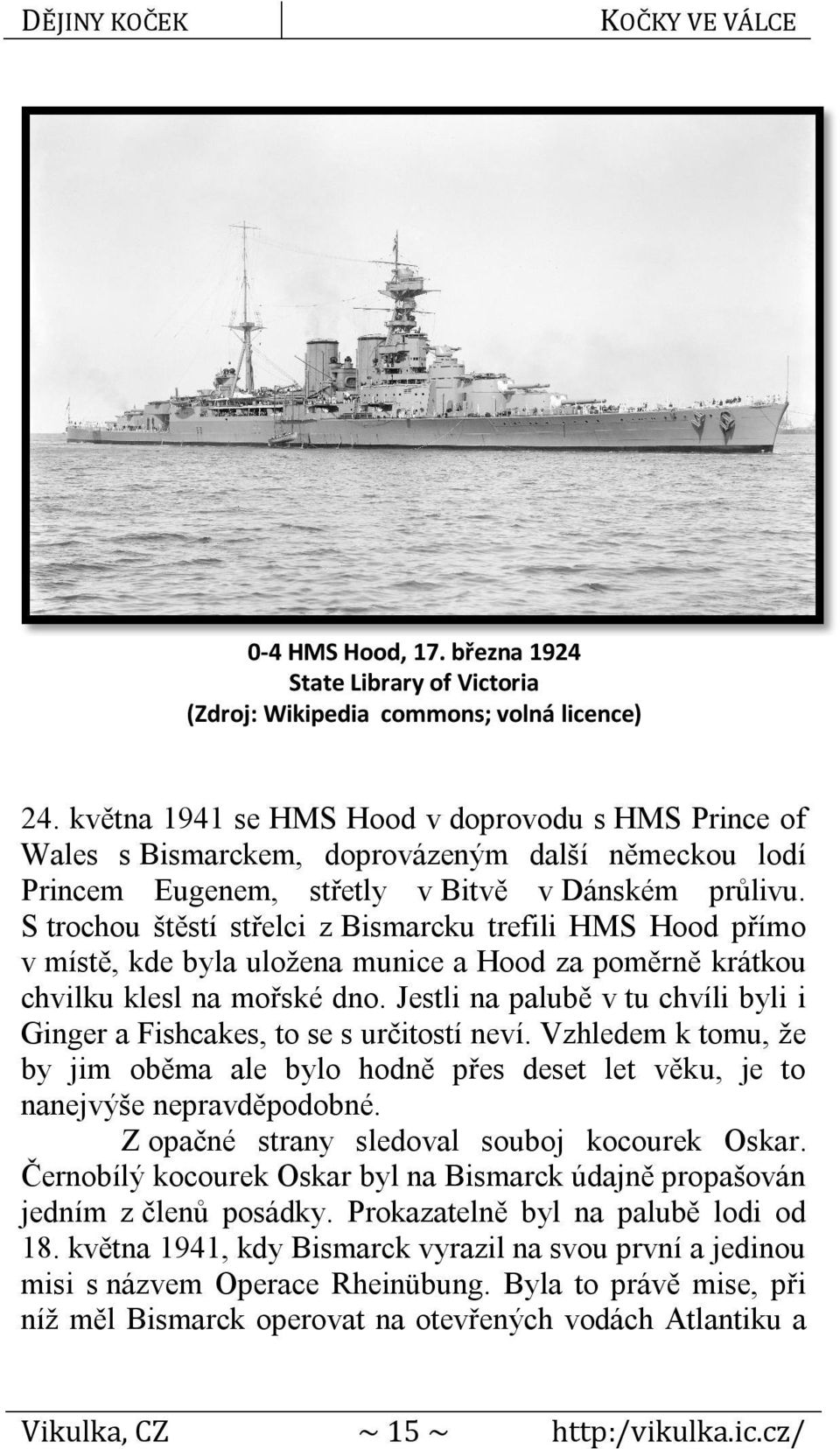 S trochou štěstí střelci z Bismarcku trefili HMS Hood přímo v místě, kde byla uložena munice a Hood za poměrně krátkou chvilku klesl na mořské dno.