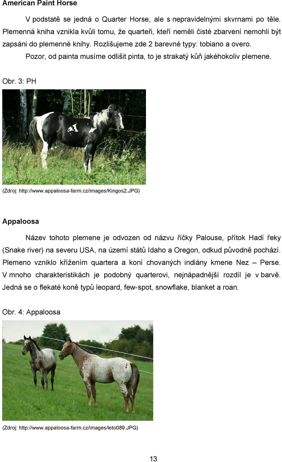 Pozor, od painta musíme odlišit pinta, to je strakatý kůň jakéhokoliv plemene. Obr. 3: PH (Zdroj: http://www.appaloosa-farm.cz/images/kingos2.