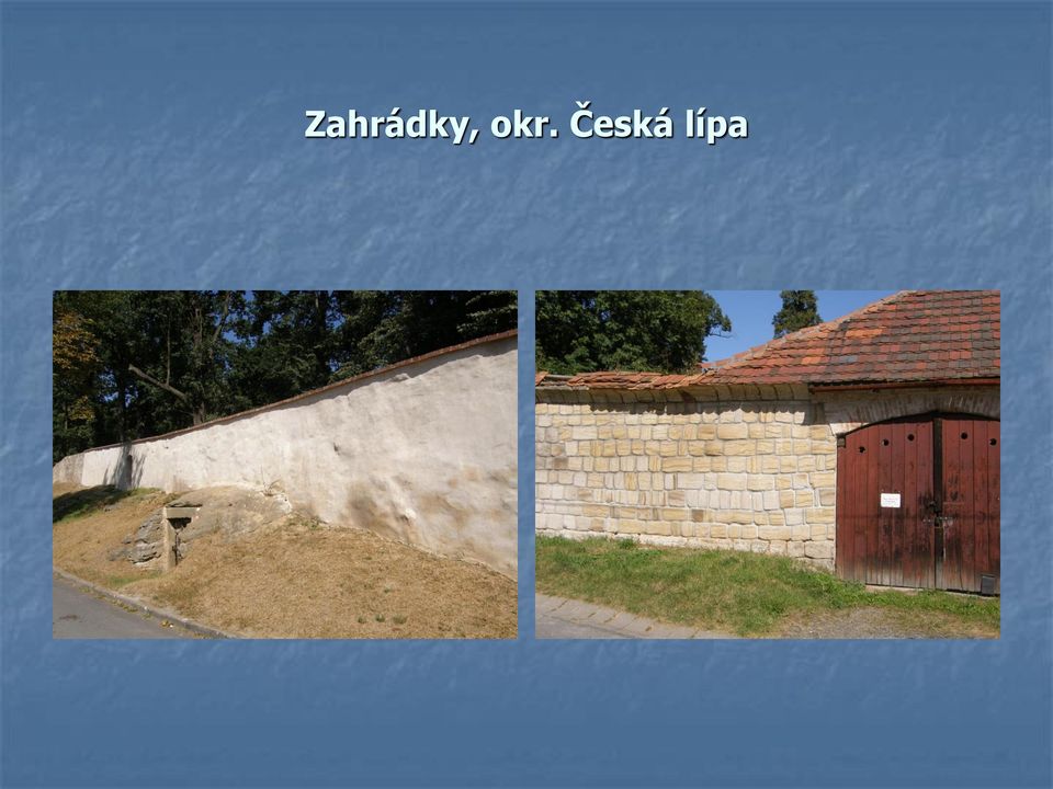 Česká