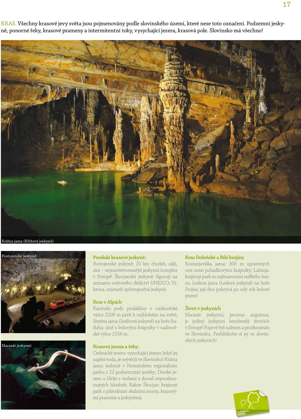 Križna jama (Křížová jeskyně) Postojenské jeskyně Macarát jeskynní Proslulé krasové jeskyně: Postojenské jeskyně: 20 km chodeb, sálů, síní nejnavštěvovanější jeskynní komplex v Evropě!