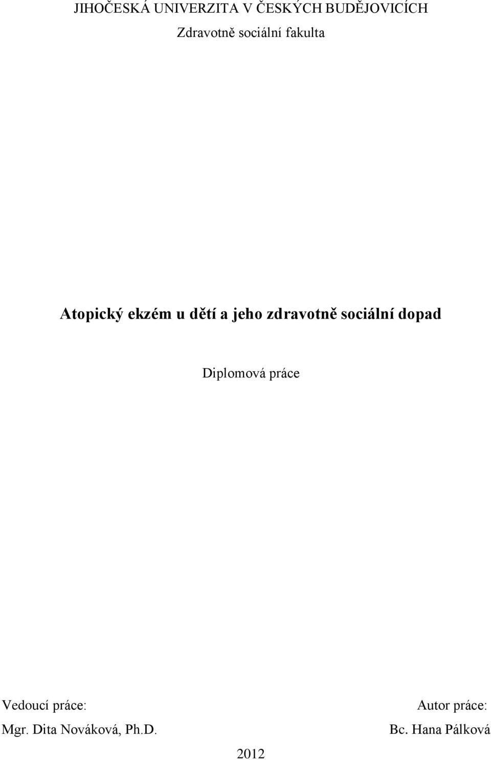 zdravotně sociální dopad Diplomová práce Vedoucí