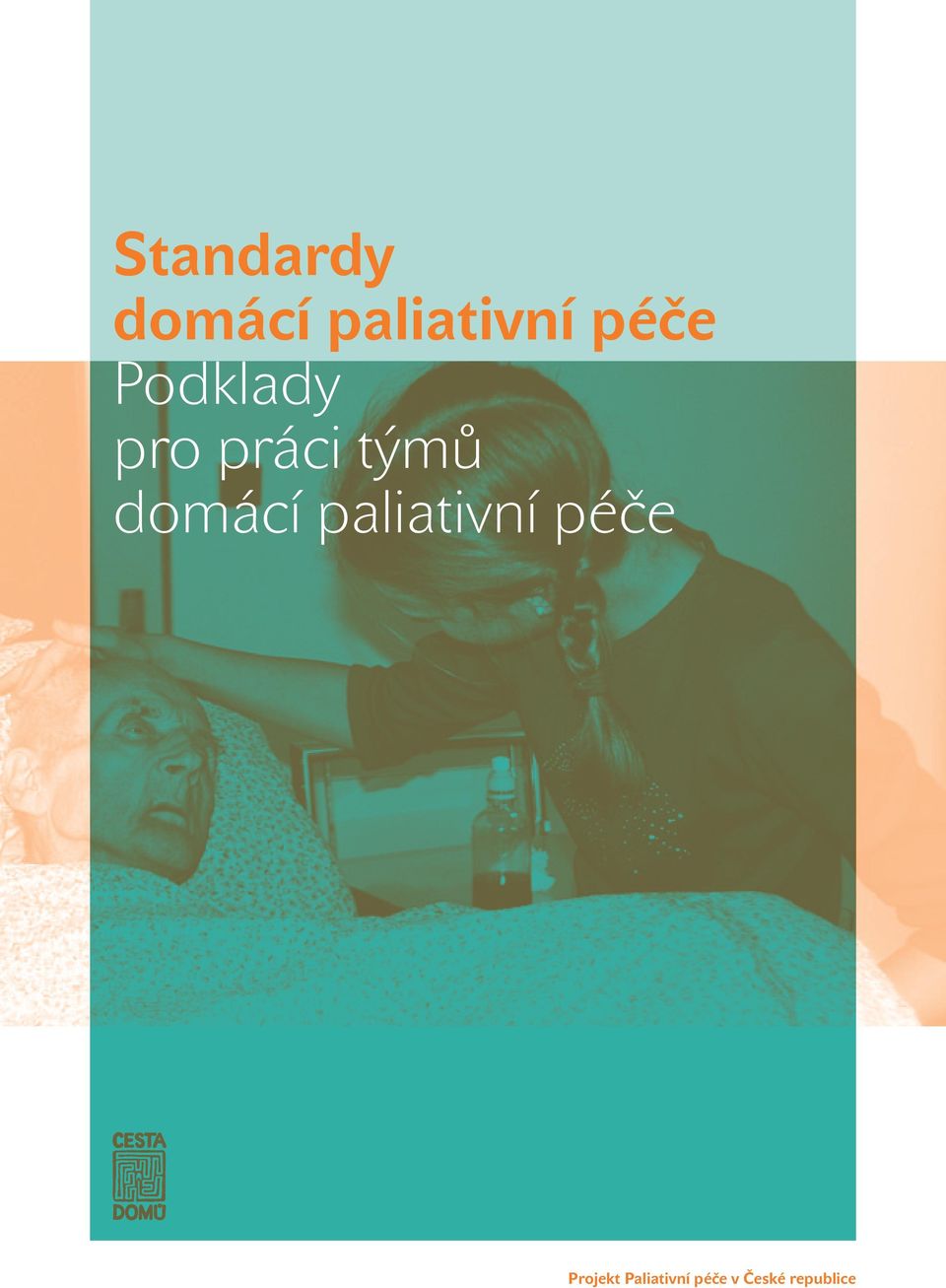 domácí paliativní péče Projekt