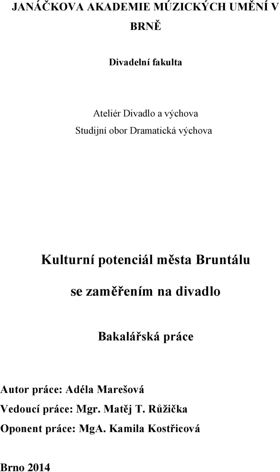 se zaměřením na divadlo Bakalářská práce Autor práce: Adéla Marešová Vedoucí