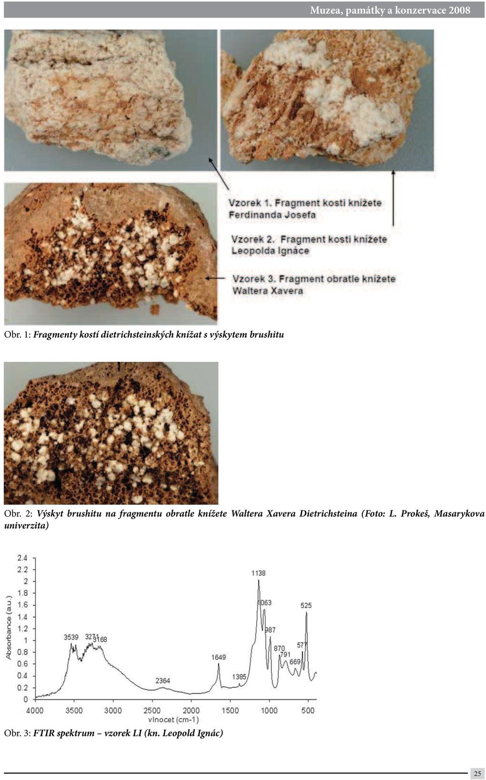 2: Výskyt brushitu na fragmentu obratle knížete Waltera Xavera