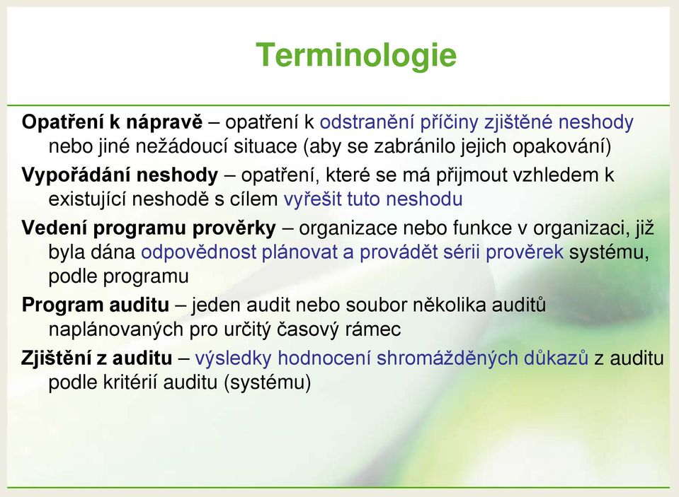 nebo funkce v organizaci, již byla dána odpovědnost plánovat a provádět sérii prověrek systému, podle programu Program auditu jeden audit nebo