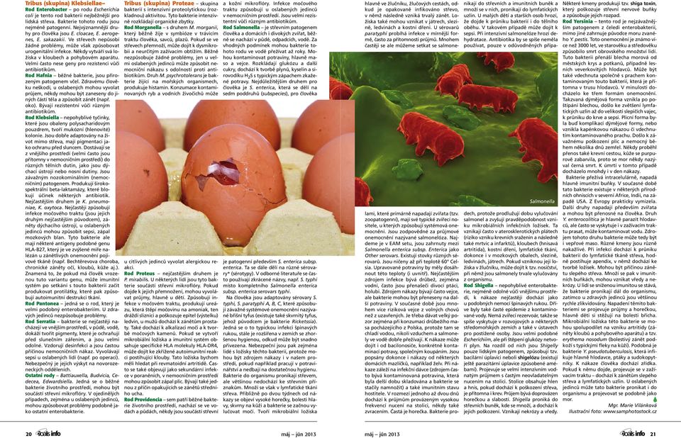 tentní vůči různým antibiotikům. lidská střeva. Bakterie tohoto rodu jsou nejméně patogenní. Nejvýzmnější druhy pro člověka jsou E. cloacae, E.