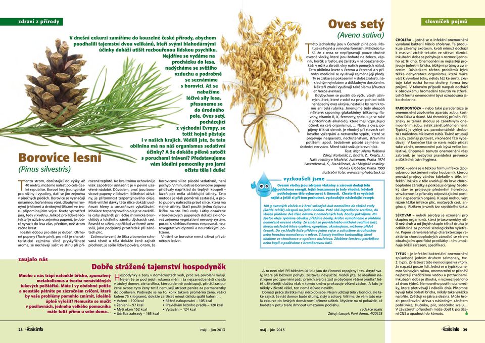 Oves tý, pocházející Detoxikační medicí Zažívací ústrojí a dechové ústrojí patří mezi soustavy orgánů, přes které komunikuje vnitřek lidského těla zevním prostředím.