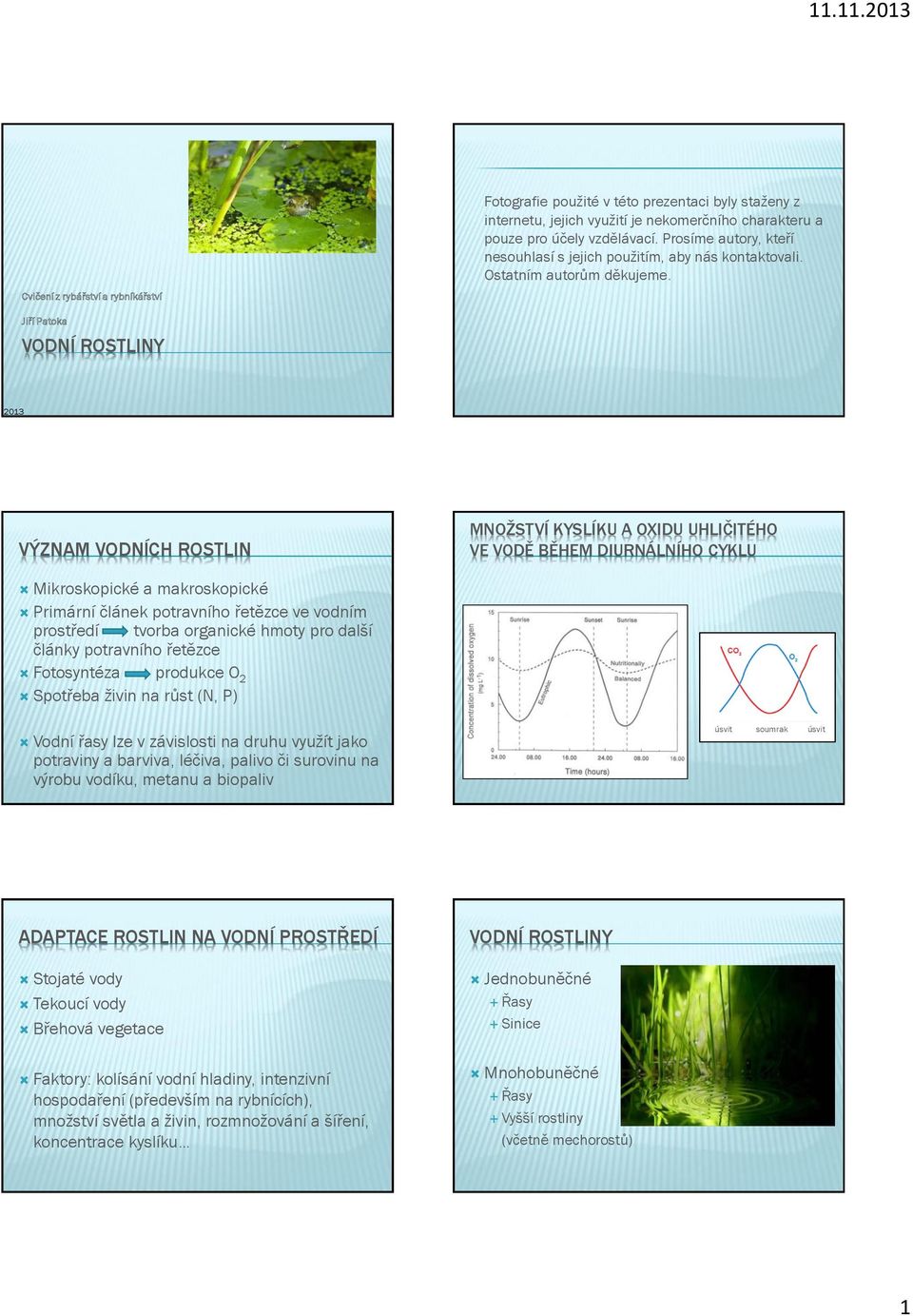 Jiří Patoka VODNÍ ROSTLINY 2013 VÝZNAM VODNÍCH ROSTLIN MNOŽSTVÍ KYSLÍKU A OXIDU UHLIČITÉHO VE VODĚ BĚHEM DIURNÁLNÍHO CYKLU Mikroskopické a makroskopické Primární článek potravního řetězce ve vodním
