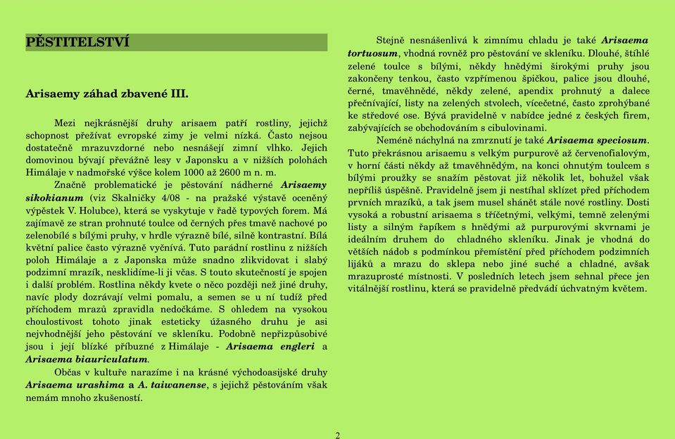 přečnívající, listy na zelených stvolech, vícečetné, často zprohýbané ke středové ose. Bývá pravidelně v nabídce jedné z českých firem, zabývajících se obchodováním s cibulovinami.