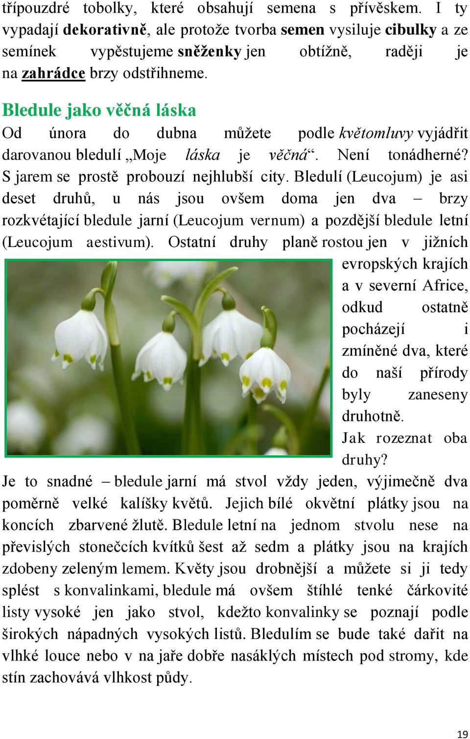 Bledule jako věčná láska Od února do dubna můžete podle květomluvy vyjádřit darovanou bledulí Moje láska je věčná. Není tonádherné? S jarem se prostě probouzí nejhlubší city.