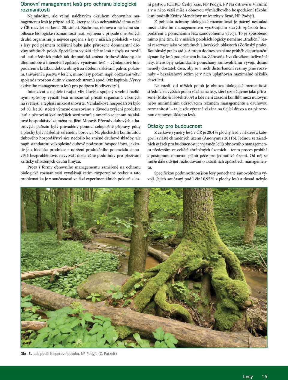 Záchrana, obnova a následná stabilizace biologické rozmanitosti lesů, zejména v případě ohrožených druhů organismů je nejvíce spojena s lesy v nižších polohách tedy s lesy pod pásmem rozšíření buku