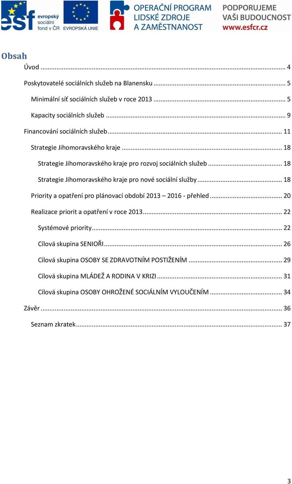 .. 18 Priority a opatření pro plánovací období 2013 2016 - přehled... 20 Realizace priorit a opatření v roce 2013... 22 Systémové priority... 22 Cílová skupina SENIOŘI.