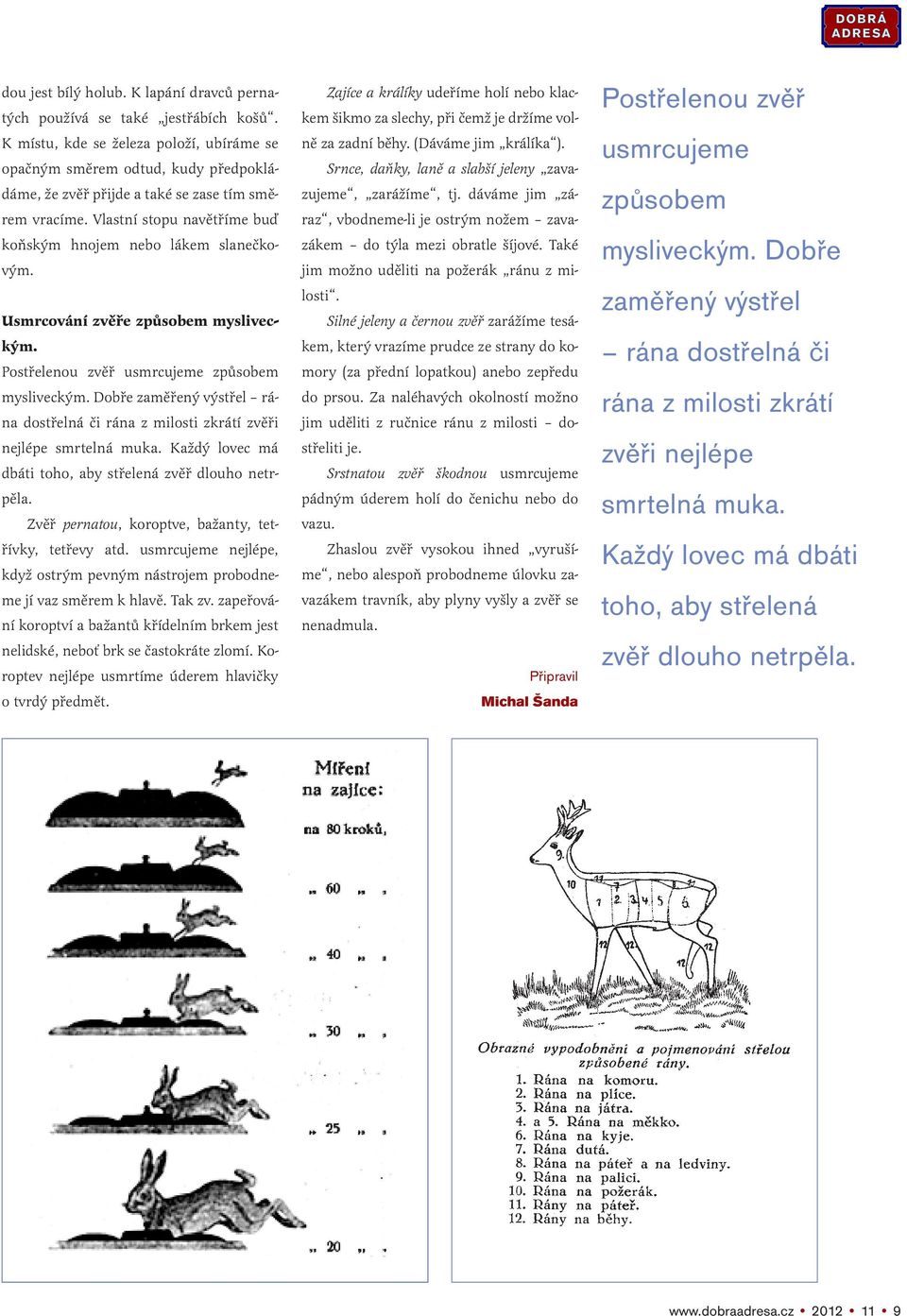 Usmrcování zvěře způsobem mysliveckým. Postřelenou zvěř usmrcujeme způsobem mysliveckým. Dobře zaměřený výstřel rána dostřelná či rána z milosti zkrátí zvěři nejlépe smrtelná muka.