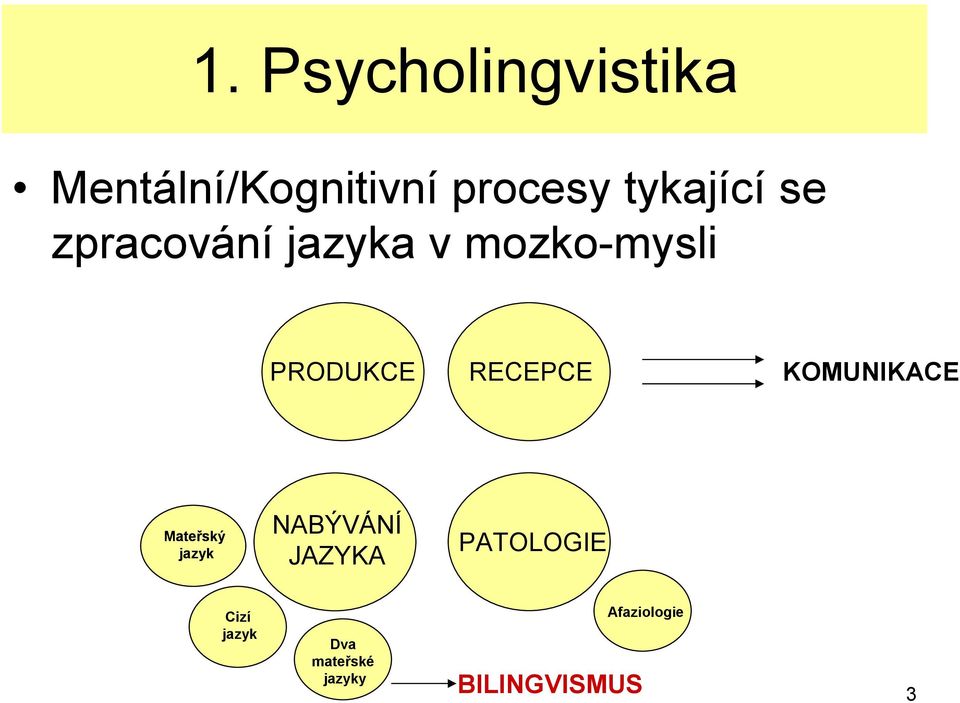 RECEPCE KOMUNIKACE Mateřský jazyk NABÝVÁNÍ JAZYKA