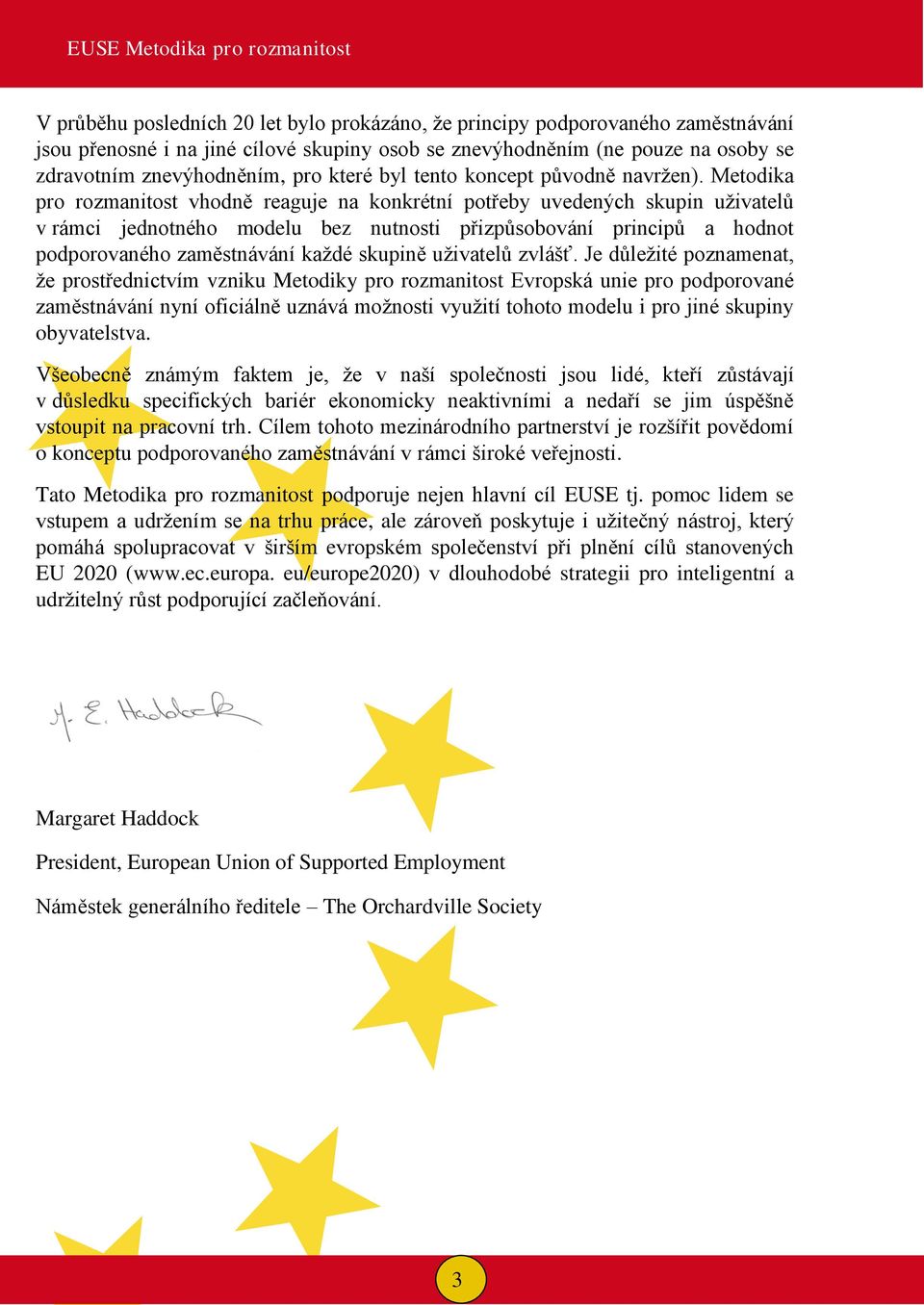 Metodika pro rozmanitost vhodně reaguje na konkrétní potřeby uvedených skupin uživatelů v rámci jednotného modelu bez nutnosti přizpůsobování principů a hodnot podporovaného zaměstnávání každé