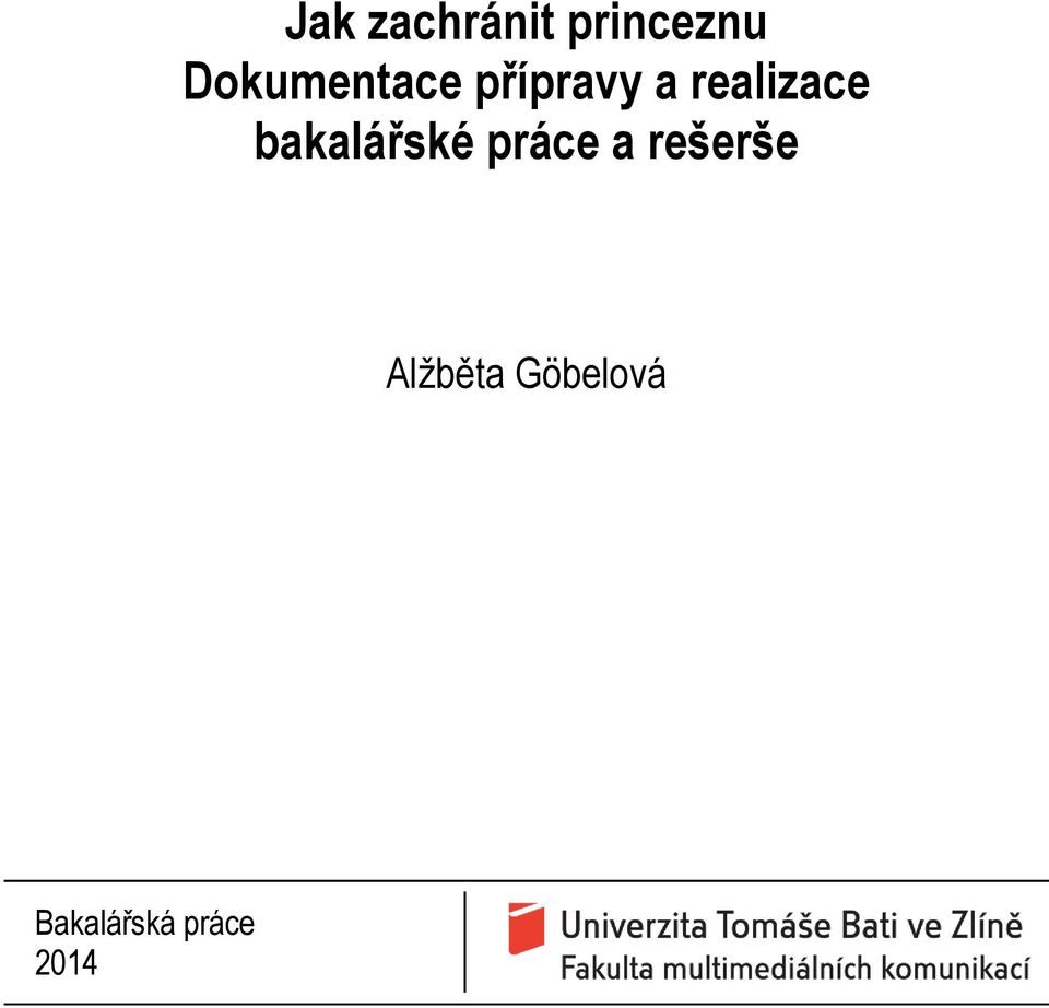 realizace bakalářské práce a