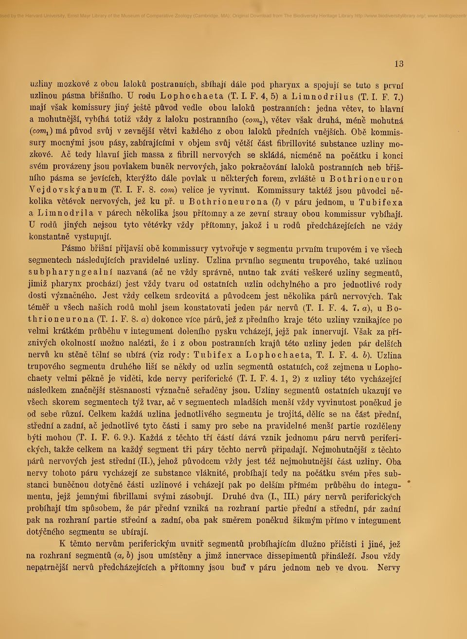 ^) má pvod svj v zevnjší vtvi každého z obou lalok pedních vnjších. Ob kommissury mocnými jsou pásy, zabírajícími v objem svj vtší ást fibrillovité substance uzliny mozkové.