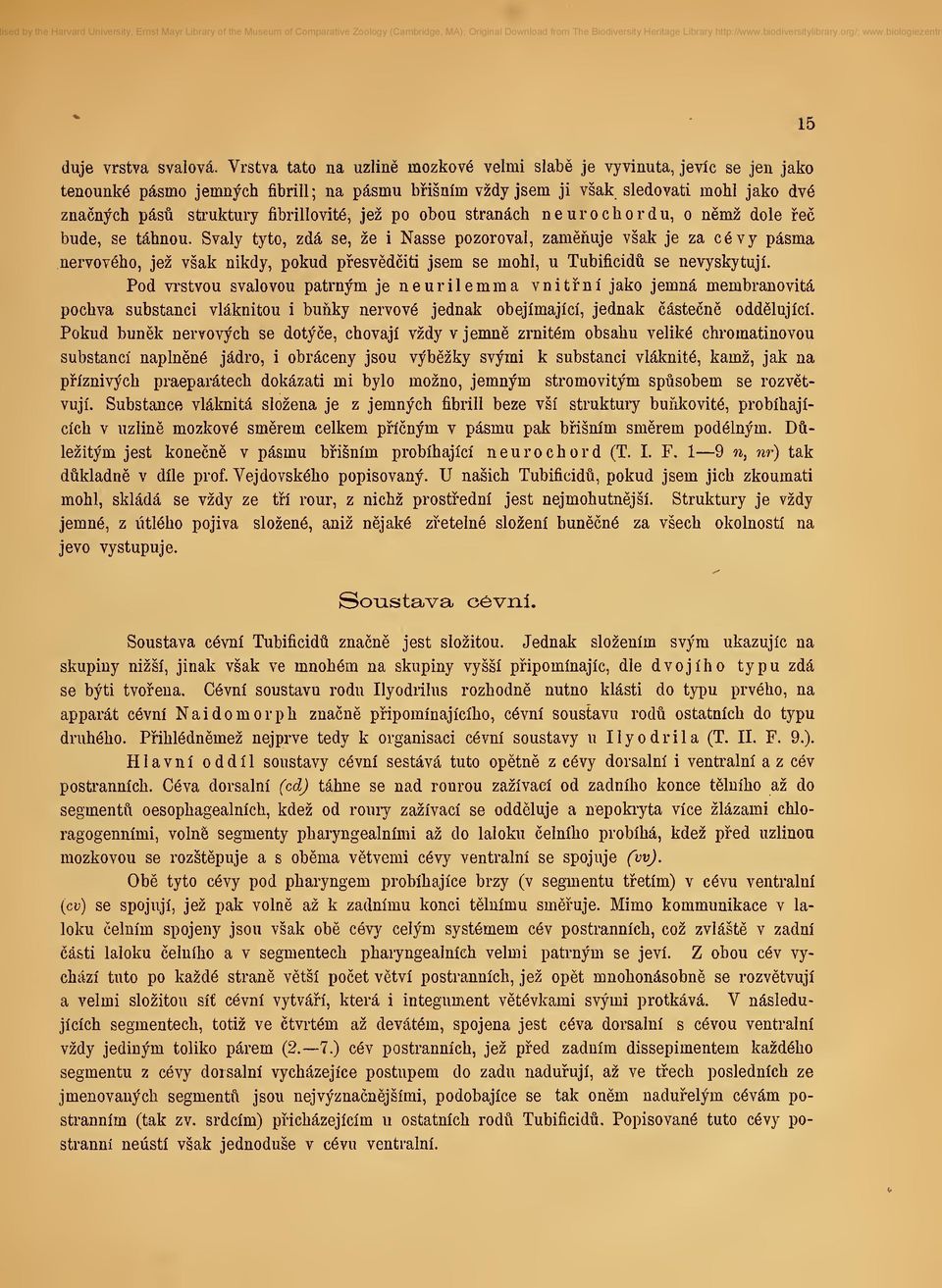 po obou stranách neurochordu, o nmž dole e bude, se táhnou.