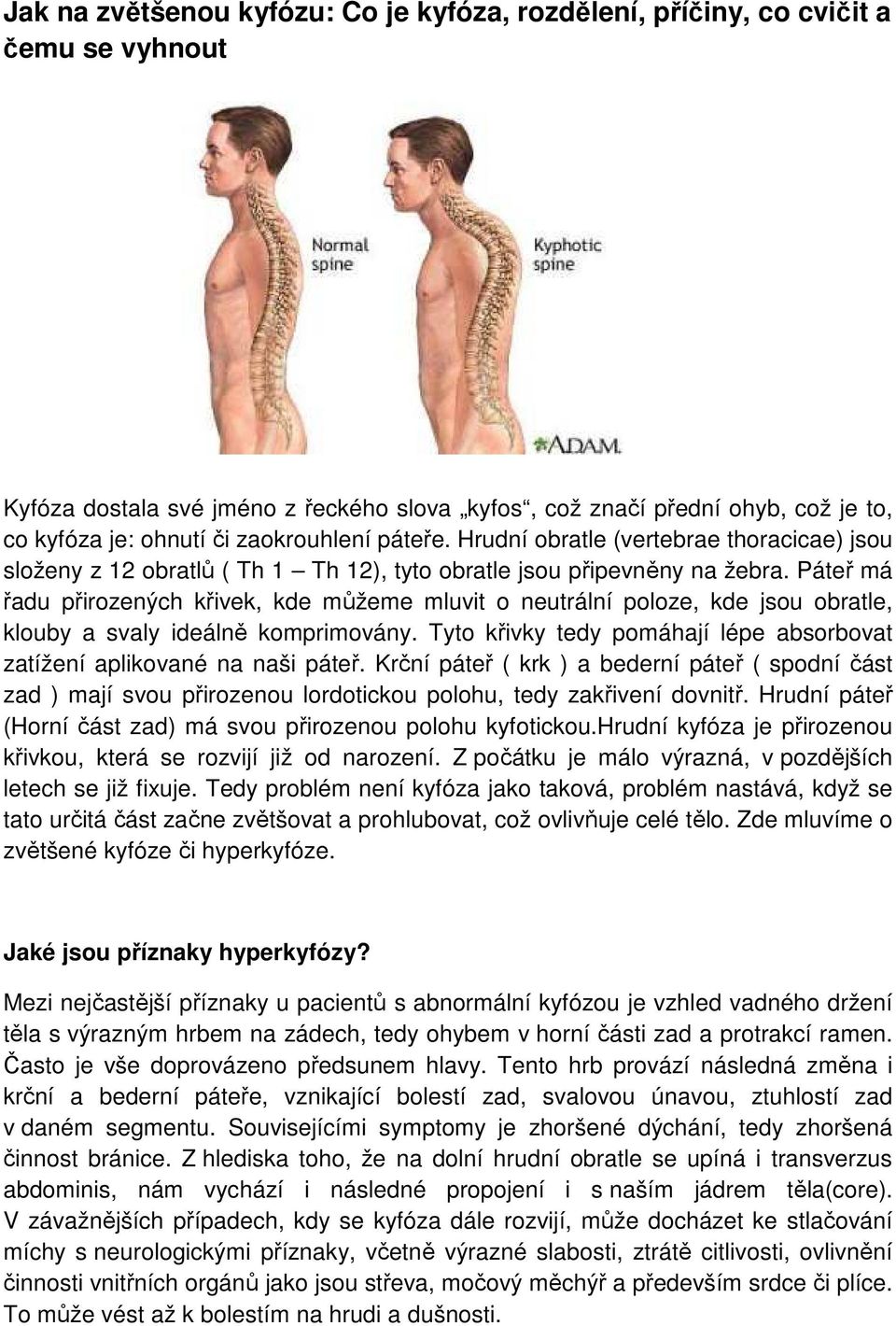 Páteř má řadu přirozených křivek, kde můžeme mluvit o neutrální poloze, kde jsou obratle, klouby a svaly ideálně komprimovány.