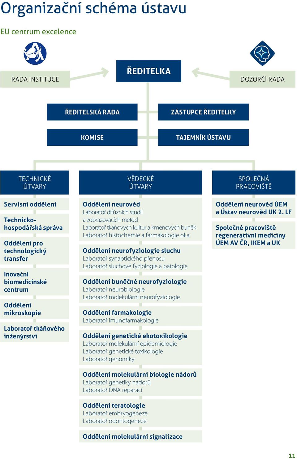 difúzních studií a zobrazovacích metod Laboratoř tkáňových kultur a kmenových buněk Laboratoř histochemie a farmakologie oka Oddělení neurofyziologie sluchu Laboratoř synaptického přenosu Laboratoř