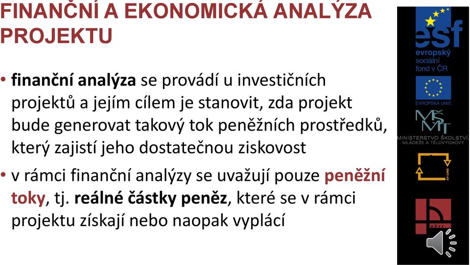 prostředků, který zajistí jeho dostatečnou ziskovost v rámci finanční analýzy se uvažují