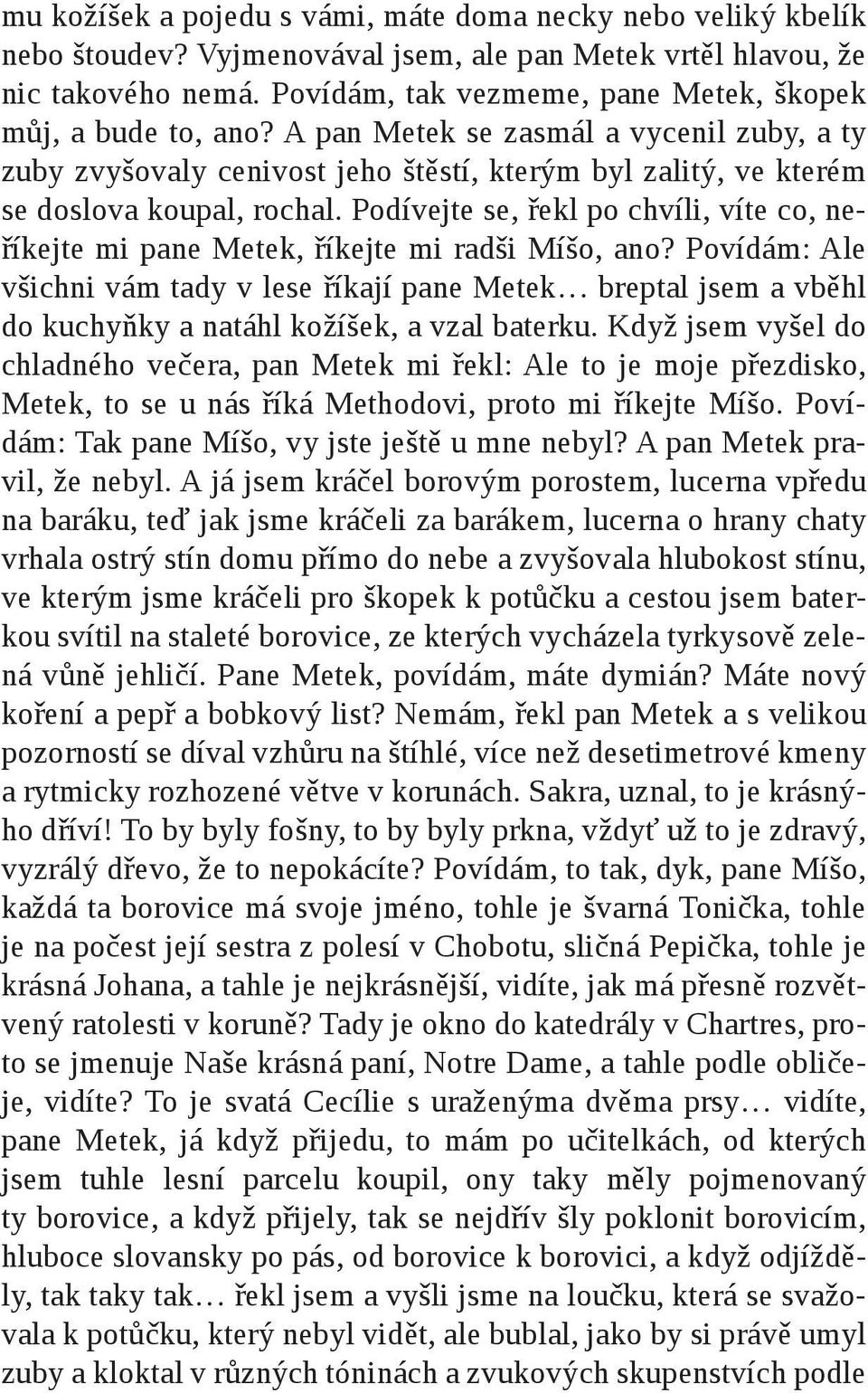 Podívejte se, řekl po chvíli, víte co, neříkejte mi pane Metek, říkejte mi radši Míšo, ano?