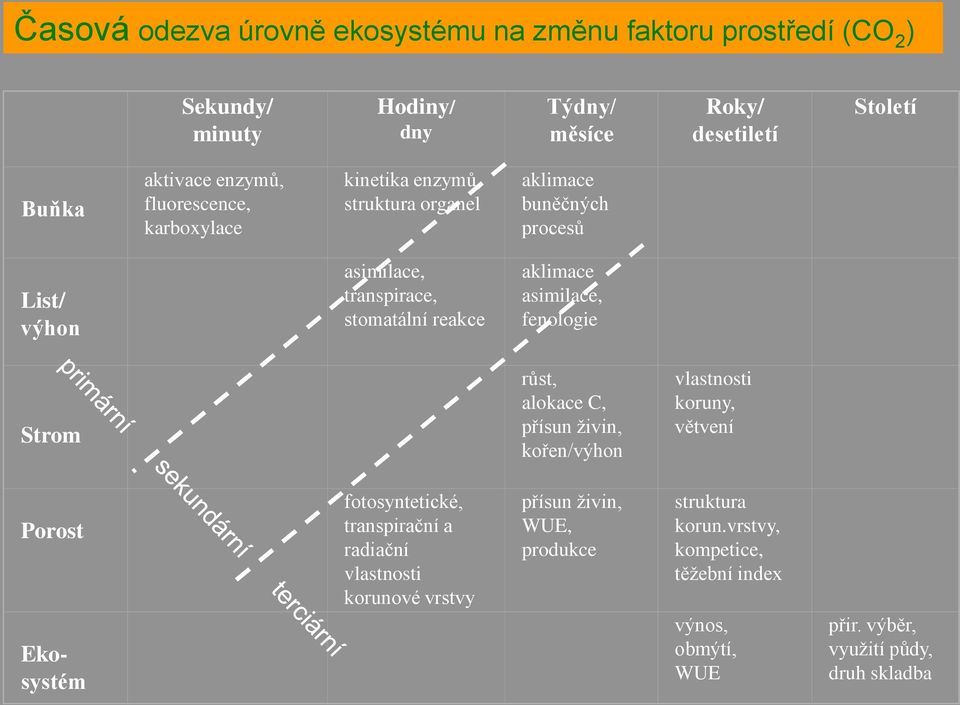 aklimace asimilace, fenologie Strom růst, alokace C, přísun živin, kořen/výhon vlastnosti koruny, větvení Porost Ekosystém fotosyntetické, transpirační a